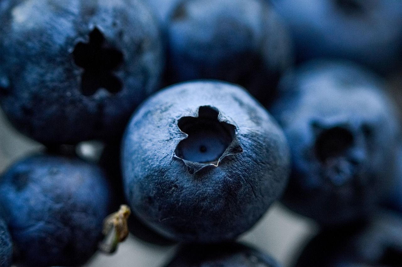 entdecken sie die kraft der superfoods! erfahren sie, wie nährstoffreiche lebensmittel ihre gesundheit fördern, ihr immunsystem stärken und mehr energie in ihren alltag bringen können.