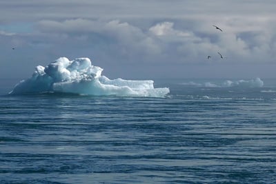 Wie verändert der Klimawandel unsere Ernährungsgewohnheiten?